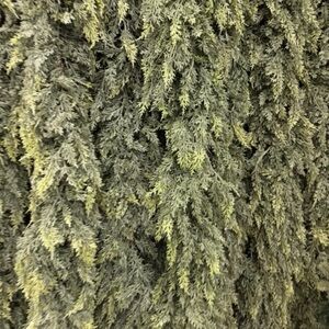 6ft Hobby Lobby Real Touch Cedar Garland